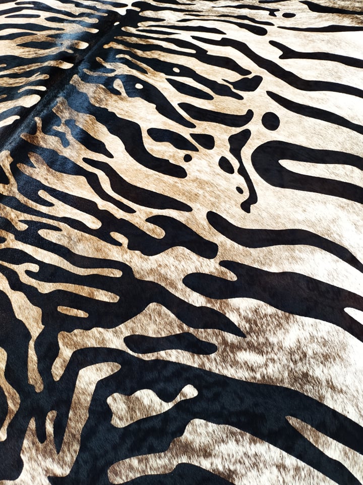 202857377_4378484875497483_7215327816983689733_n