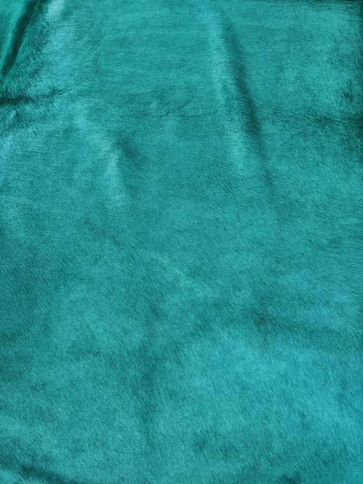 204203690_2871348013083161_226817115323479990_n