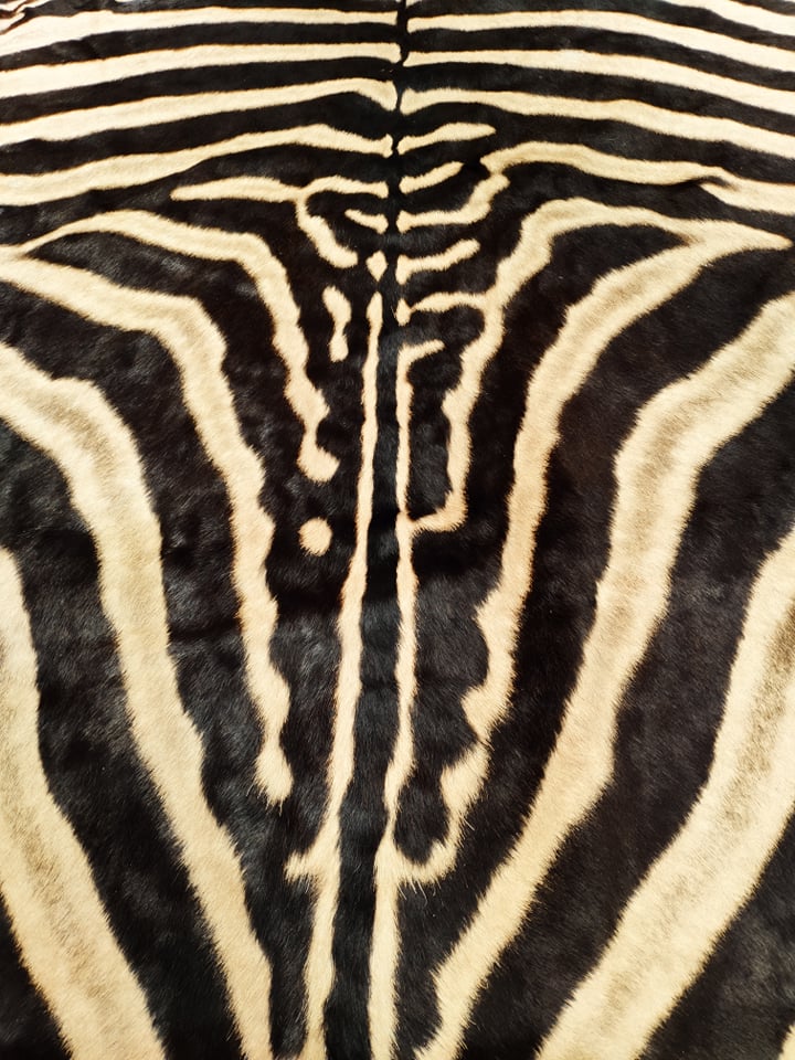 211942186_235559581724476_6587020815557110684_n