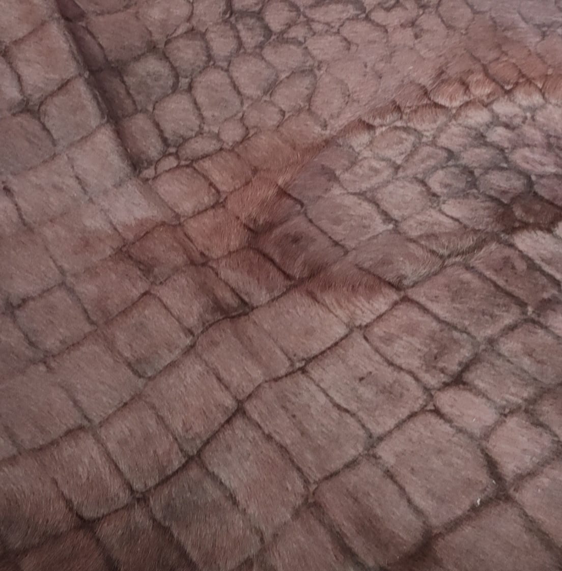 272952357_679880113452594_2585116556988398075_n