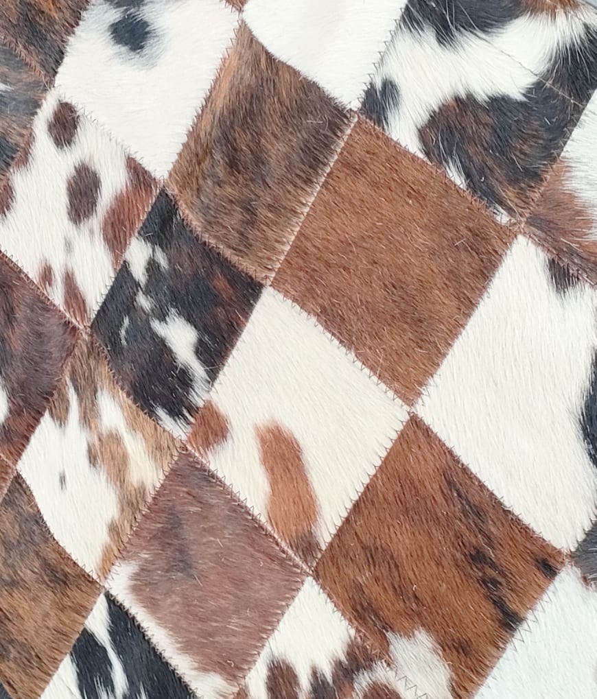 273055830_488262359336723_6076236822196203242_n